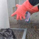 24fd7c46-07f1-44d4-abad-b424eacf6a7e