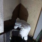 50bbe2e7-e87f-4867-8be9-7d8f1c640832