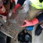 f6fd2b49-97ea-45b4-aeca-edc85c65ca44